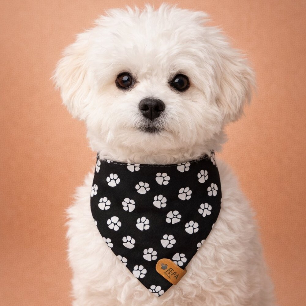 Reversible Pet Bandana | 8" Neck | Handmade 100% Cotton | Mystery Reverse Side | - Picture 2 of 4